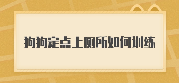 狗狗定点上厕所如何训练