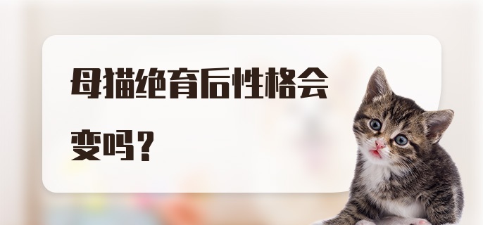 母猫绝育后性格会变吗?