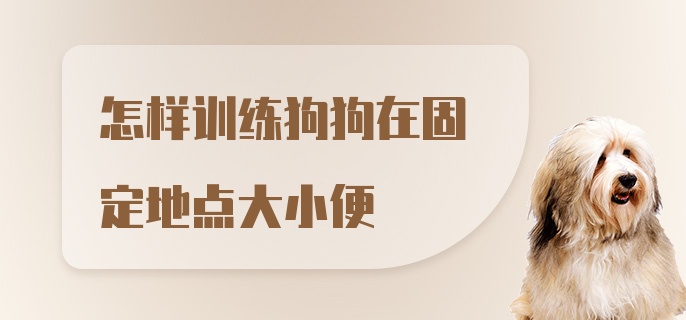 怎样训练狗狗在固定地点大小便