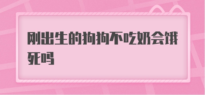 刚出生的狗狗不吃奶会饿死吗