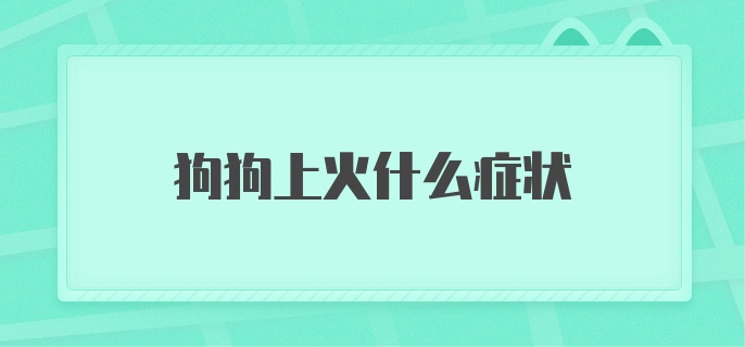 狗狗上火什么症状