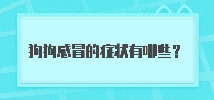 狗狗感冒的症状有哪些？