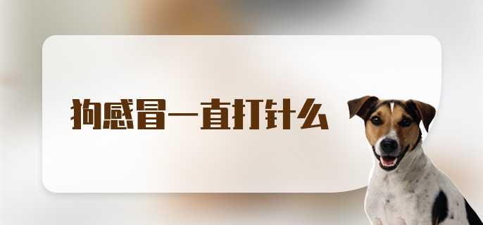 狗感冒一直打针么