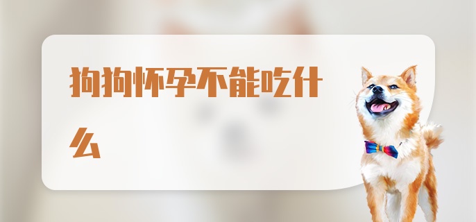 狗狗怀孕不能吃什么