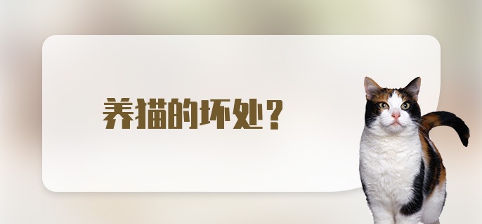 养猫的坏处？