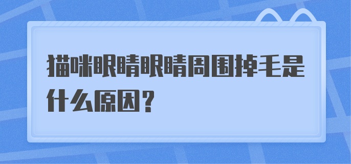 猫咪眼睛眼睛周围掉毛是什么原因？