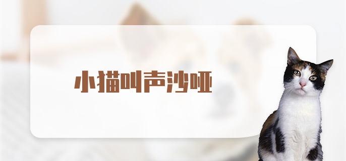 小猫叫声沙哑