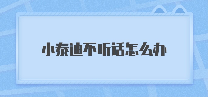 小泰迪不听话怎么办