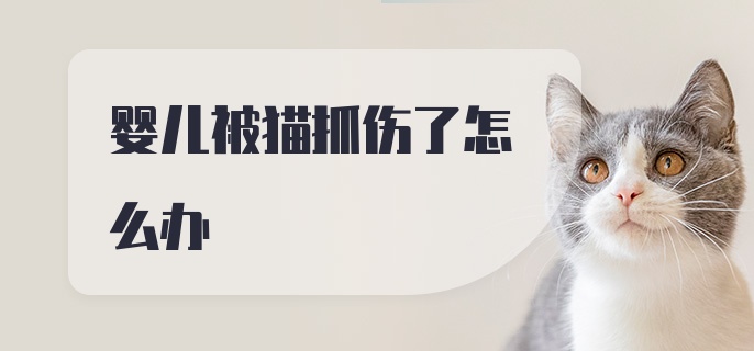 婴儿被猫抓伤了怎么办