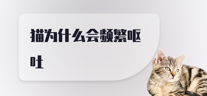 猫为什么会频繁呕吐