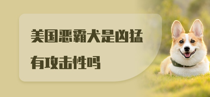 美国恶霸犬是凶猛有攻击性吗