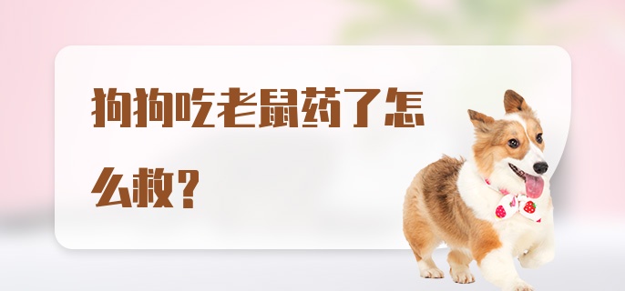 狗狗吃老鼠药了怎么救?