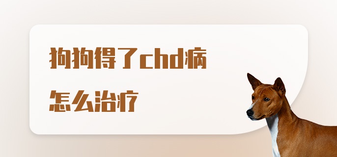 狗狗得了chd病怎么治疗