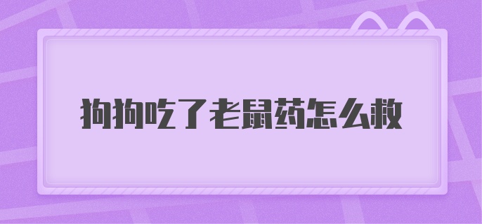 狗狗吃了老鼠药怎么救