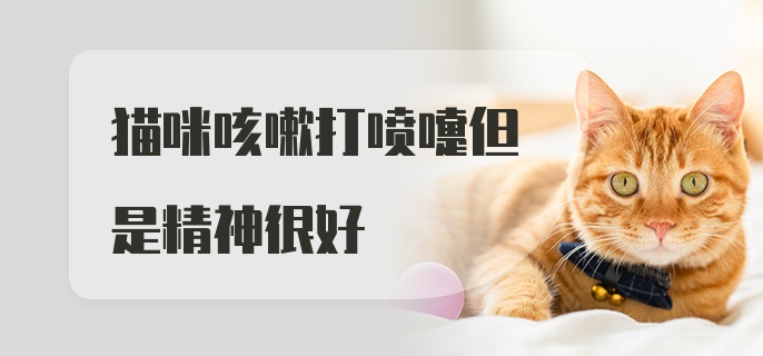 猫咪咳嗽打喷嚏但是精神很好