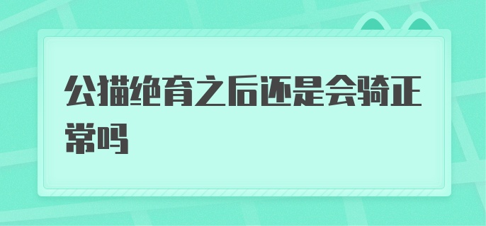 公猫绝育之后还是会骑正常吗