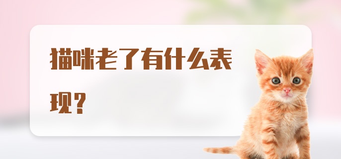 猫咪老了有什么表现？