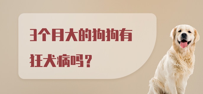 3个月大的狗狗有狂犬病吗？