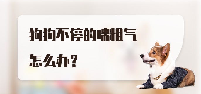 狗狗不停的喘粗气怎么办？