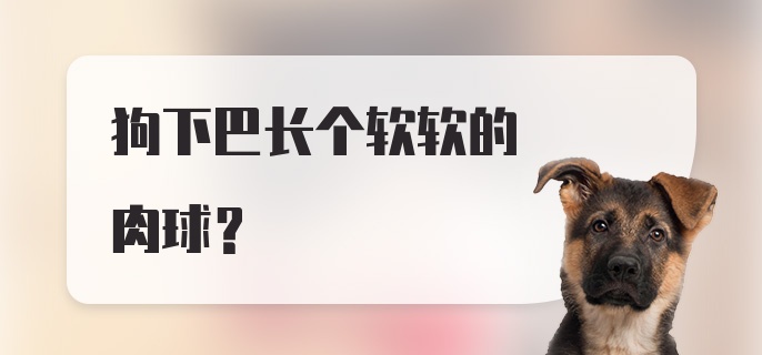 狗下巴长个软软的肉球？