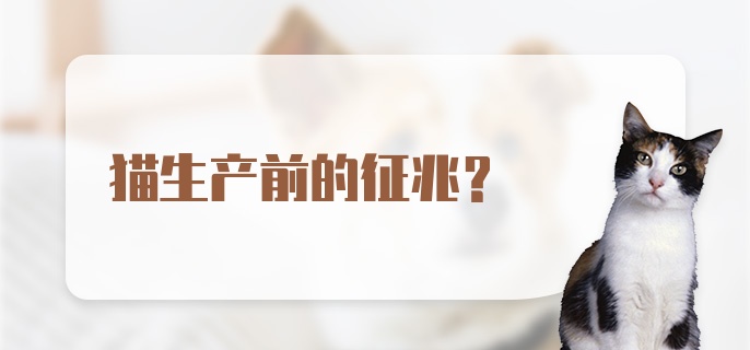 猫生产前的征兆？