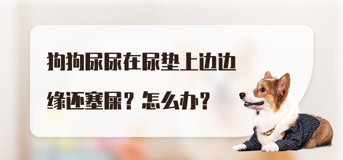 狗狗尿尿在尿垫上边边缘还塞屎？怎么办？