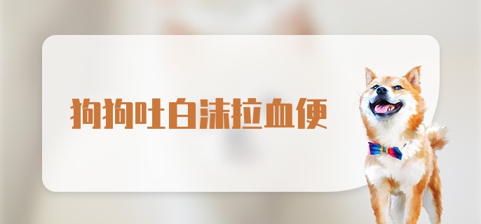 狗狗吐白沫拉血便