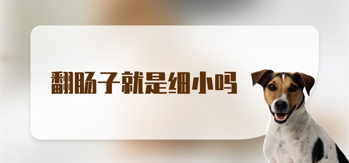 翻肠子就是细小吗