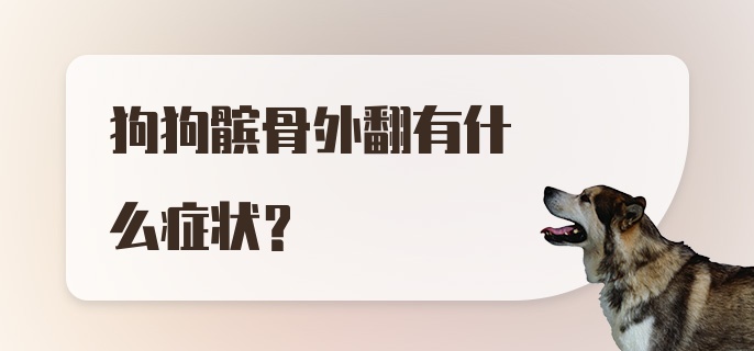 狗狗髌骨外翻有什么症状？