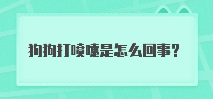 狗狗打喷嚏是怎么回事？