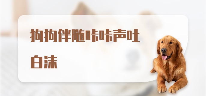 狗狗伴随咔咔声吐白沫