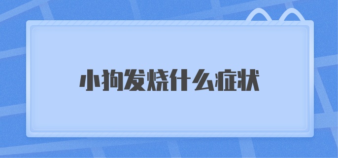 小狗发烧什么症状