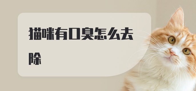 猫咪有口臭怎么去除