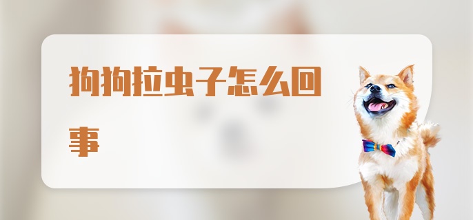 狗狗拉虫子怎么回事