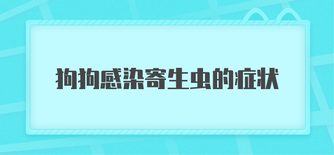 狗狗感染寄生虫的症状