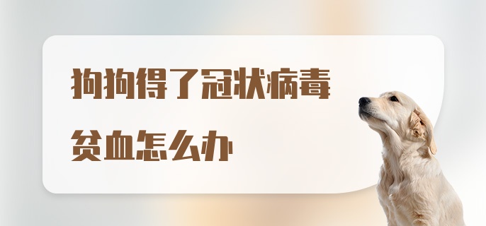 狗狗得了冠状病毒贫血怎么办