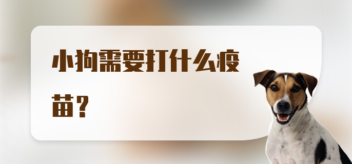 小狗需要打什么疫苗?