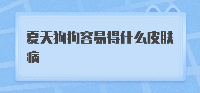 夏天狗狗容易得什么皮肤病