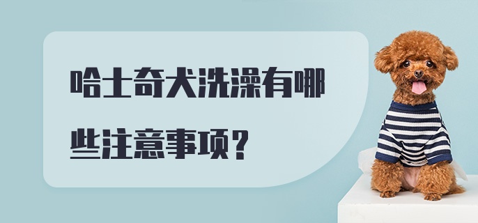 哈士奇犬洗澡有哪些注意事项？