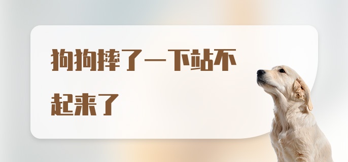 狗狗摔了一下站不起来了