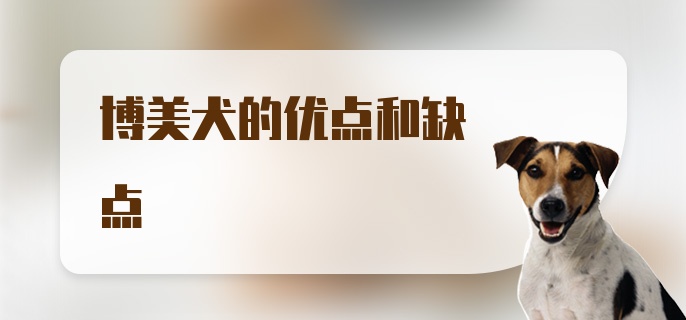 博美犬的优点和缺点