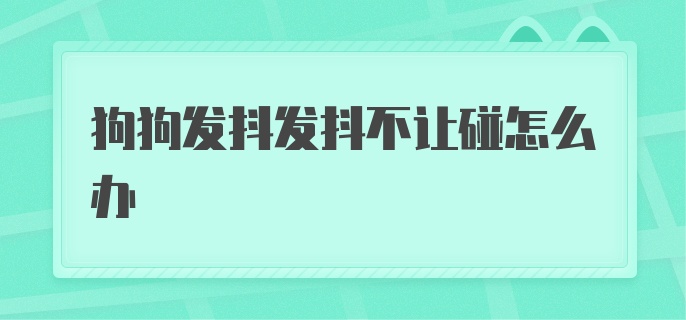 狗狗发抖发抖不让碰怎么办