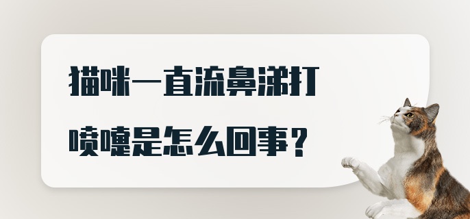 猫咪一直流鼻涕打喷嚏是怎么回事？