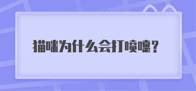 猫咪为什么会打喷嚏？