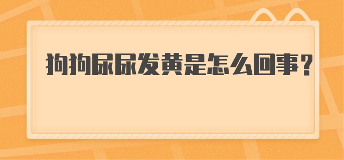 狗狗尿尿发黄是怎么回事?