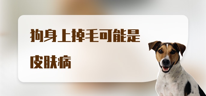 狗身上掉毛可能是皮肤病