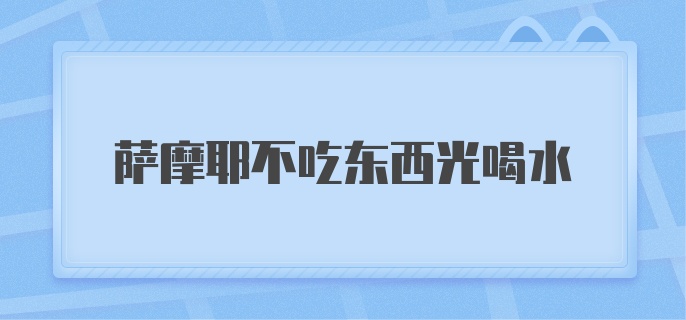 萨摩耶不吃东西光喝水