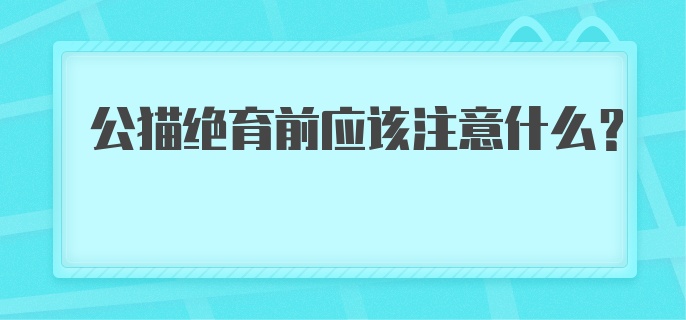 公猫绝育前应该注意什么？