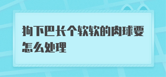 狗下巴长个软软的肉球要怎么处理