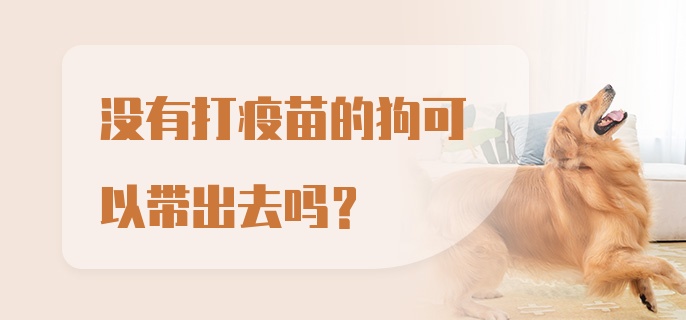 没有打疫苗的狗可以带出去吗？